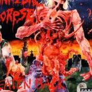 Der musikalische text SCATTERED REMAINS, SPLATTERED BRAINS von CANNIBAL CORPSE ist auch in dem Album vorhanden Eaten back to life (1990)