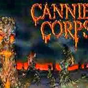 Der musikalische text FUNERAL CREMATION von CANNIBAL CORPSE ist auch in dem Album vorhanden A skeletal domain (2014)