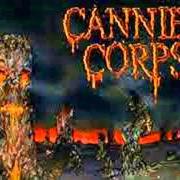 Der musikalische text SADISTIC EMBODIMENT von CANNIBAL CORPSE ist auch in dem Album vorhanden A skeletal domain (2014)