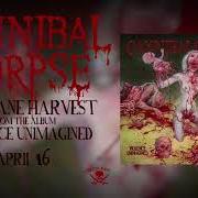 Der musikalische text CEREMENTS OF THE FLAYED von CANNIBAL CORPSE ist auch in dem Album vorhanden Violence unimagined (2021)