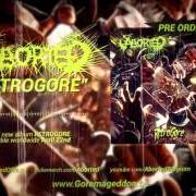 Der musikalische text BIT BY BIT von ABORTED ist auch in dem Album vorhanden Retrogore (2016)