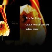 Der musikalische text BABY COHETE von CARAMELOS DE CIANURO ist auch in dem Album vorhanden Flor de fuego (2006)