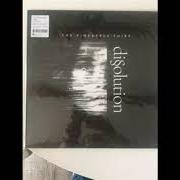 Der musikalische text SHED A LIGHT von THE PINEAPPLE THIEF ist auch in dem Album vorhanden Dissolution (2018)