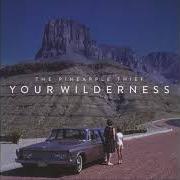 Der musikalische text THAT SHORE von THE PINEAPPLE THIEF ist auch in dem Album vorhanden Your wilderness (2016)