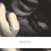 Der musikalische text GREY HAIR von BIRDS IN ROW ist auch in dem Album vorhanden You, me and the violence