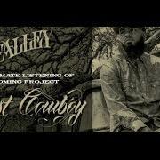 Der musikalische text SWANGIN von STALLEY ist auch in dem Album vorhanden Honest cowboy (2013)