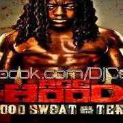 Der musikalische text HUSTLE HARD von ACE HOOD ist auch in dem Album vorhanden Blood, sweat & tears (2011)