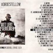 Der musikalische text WAS ICH WILL von JAYSUS ist auch in dem Album vorhanden Gott liebt die geduldigen (2014)