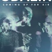Der musikalische text COMING ALIVE von KODALINE ist auch in dem Album vorhanden Coming up for air (2015)