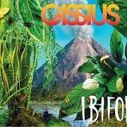 Der musikalische text PONCE von CASSIUS ist auch in dem Album vorhanden Ibifornia (2016)