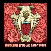 Der musikalische text WHATEVER HAPPENED, HAPPENED von MAYCOMB ist auch in dem Album vorhanden Crystal tiger blues (2010)
