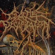 Der musikalische text THE GREAT DYING II von CATTLE DECAPITATION ist auch in dem Album vorhanden Death atlas (2019)