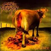 Der musikalische text MEN BEFORE SWINE (OUTRO) von CATTLE DECAPITATION ist auch in dem Album vorhanden Humanure (2004)