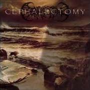 Der musikalische text DOMINUS INFERNUS VOBISCUM von CEPHALECTOMY ist auch in dem Album vorhanden Dark waters rise (1998)