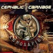 Der musikalische text ENDLESS CYCLE OF VIOLENCE von CEPHALIC CARNAGE ist auch in dem Album vorhanden Xenosapien (2007)