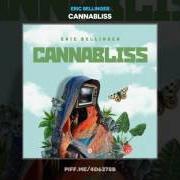 Der musikalische text GANJA von ERIC BELLINGER ist auch in dem Album vorhanden Canabliss (2017)