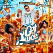 Der musikalische text HALF A BRICK von OJ DA JUICEMAN ist auch in dem Album vorhanden I got the juice (2008)