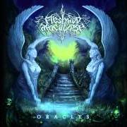 Der musikalische text AT THE GUILLOTINE von FLESHGOD APOCALYPSE ist auch in dem Album vorhanden Oracles (2009)