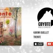 Der musikalische text CŒUR DE PIERRE von KARIM OUELLET ist auch in dem Album vorhanden Trente (2016)