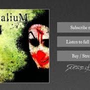 Der musikalische text AND NOW von TREPALIUM ist auch in dem Album vorhanden Xiii (2009)