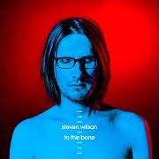 Der musikalische text PEOPLE WHO EAT DARKNESS von STEVEN WILSON ist auch in dem Album vorhanden To the bone (2017)