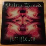 Der musikalische text EL JUERO von DYING BREED ist auch in dem Album vorhanden Fleshflower (2000)