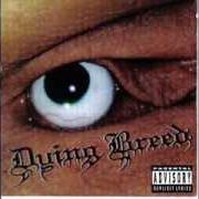 Der musikalische text STEELWOOL von DYING BREED ist auch in dem Album vorhanden Hatefuck (1996)