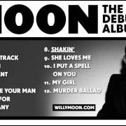 Der musikalische text RAILROAD TRACK von WILLY MOON ist auch in dem Album vorhanden Here's willy moon (2013)