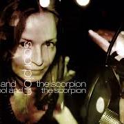 Der musikalische text FREEFALL von SHARON CORR ist auch in dem Album vorhanden The fool & the scorpion (2021)