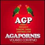 Der musikalische text DÓNDE ESTÁN CORAZÓN von AGAPORNIS ist auch in dem Album vorhanden Agapornis - volando con ritmo (2012)