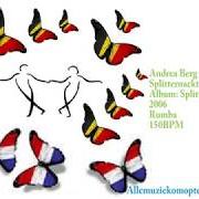 Der musikalische text EIN BISSCHEN WAHNSINN von ANDREA BERG ist auch in dem Album vorhanden Splitternackt (2006)
