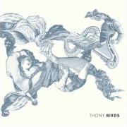 Der musikalische text DIM LIGHT von THONY ist auch in dem Album vorhanden Birds (2012)