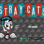 Der musikalische text I ATTRACT TROUBLE von STRAY CATS ist auch in dem Album vorhanden 40 (2019)