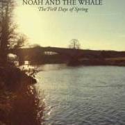 Der musikalische text INSTRUMENTAL II von NOAH AND THE WHALE ist auch in dem Album vorhanden The first days of spring