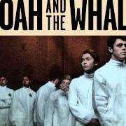 Der musikalische text ALL THROUGH THE NIGHT von NOAH AND THE WHALE ist auch in dem Album vorhanden Heart of nowhere (2013)