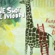 Der musikalische text LTFP von WE SHOT THE MOON ist auch in dem Album vorhanden The polar bear & cougar (2008)