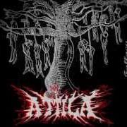 Der musikalische text 666 von ATTILA ist auch in dem Album vorhanden Fallacy (2007)