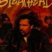 Der musikalische text REBEL MUSIC (3 O'CLOCK ROADBLOCK) von MICHAEL FRANTI AND SPEARHEAD ist auch in dem Album vorhanden Chocolate supa highway (1997)