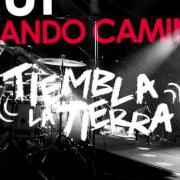 Der musikalische text QUEDAN TANTAS COSAS von EFECTO PASILLO ist auch in dem Album vorhanden Tiembla la tierra (2015)