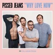 Der musikalische text IGNORECAM von PISSED JEANS ist auch in dem Album vorhanden Why love now (2017)