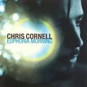 Der musikalische text DISAPPEARING ONE von CHRIS CORNELL ist auch in dem Album vorhanden Euphoria morning (1999)