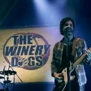 Der musikalische text STAND von WINERY DOGS ist auch in dem Album vorhanden Unleashed in japan (2014)