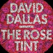 Der musikalische text AIN'T COMING DOWN von DAVID DALLAS ist auch in dem Album vorhanden The rose tint (2011)