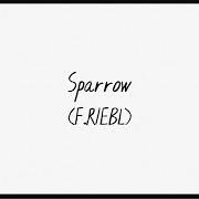 Der musikalische text SPARROW von THE CAT EMPIRE ist auch in dem Album vorhanden Sparrow (2021)