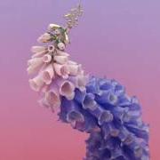 Der musikalische text TAKE A CHANCE von FLUME ist auch in dem Album vorhanden Skin (2016)