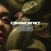 Der musikalische text TURMOIL von COMBICHRIST ist auch in dem Album vorhanden This is where death begins (2016)