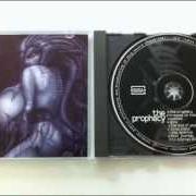 Der musikalische text WASTED von ACCELERATOR ist auch in dem Album vorhanden The prophecy (1997)