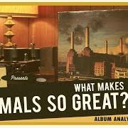 As animals