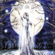 Der musikalische text MORGANA von TROBAR DE MORTE ist auch in dem Album vorhanden The silver wheel (2012)