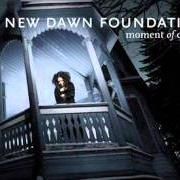 Der musikalische text WRAPPED IN PLASTIC von NEW DAWN FOUNDATION ist auch in dem Album vorhanden Moment of clarity (lp) (2006)